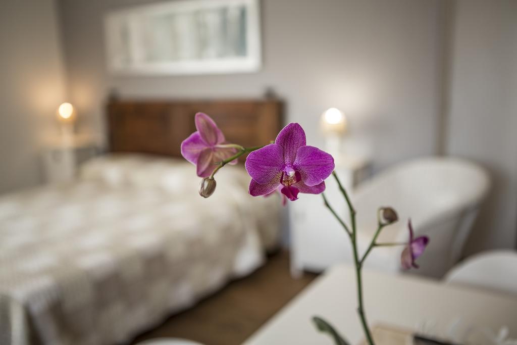 Le Servite Apartments Arco Εξωτερικό φωτογραφία
